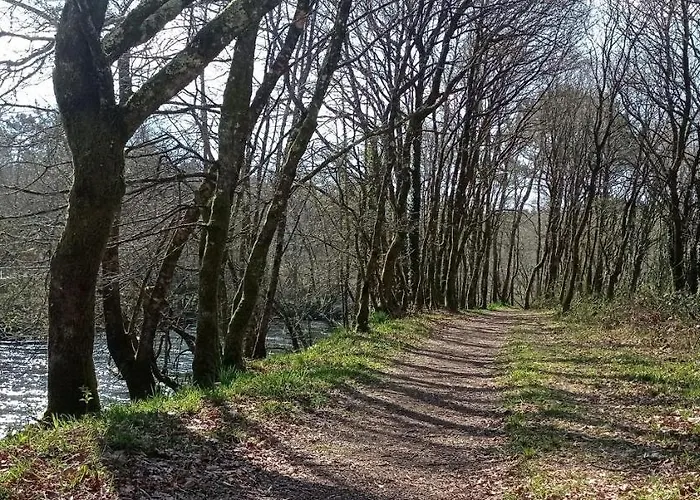 Daire O Refuxio De # A 10 Min De Santiago *